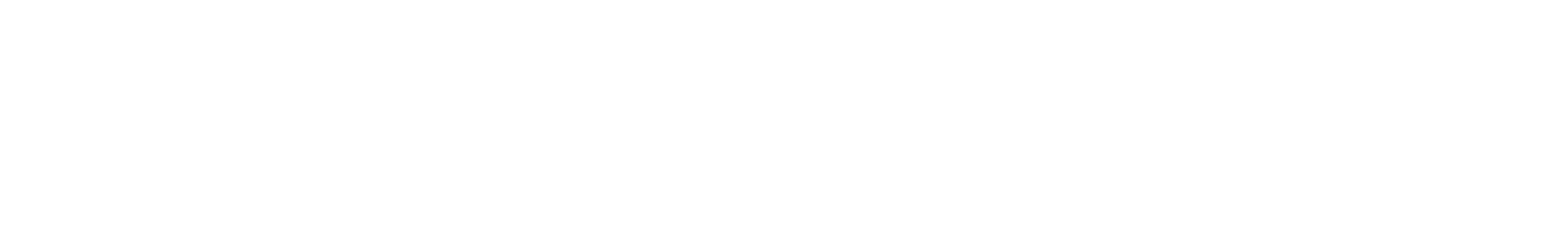 Electrical Standard Inc. Logo